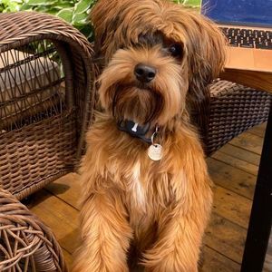 Meet your Posher, Cathy